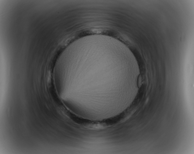 X0000085320646200703302045