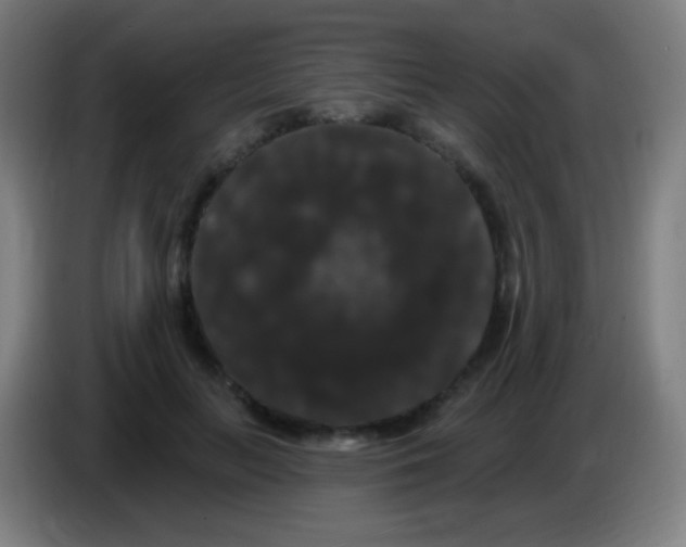 X0000085320647200703302045