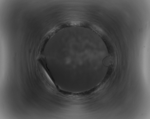 X0000085320648200703302045