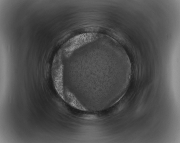 X0000085320649200703302045