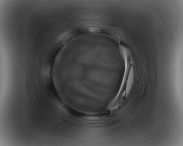 X0000085320650200703302045