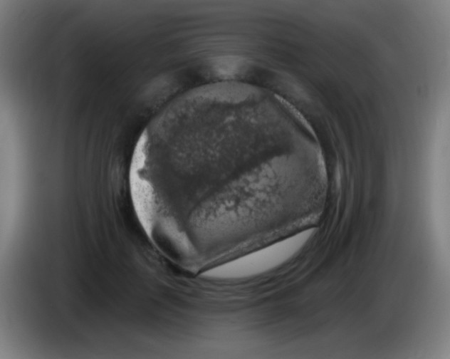 X0000085320651200703302045