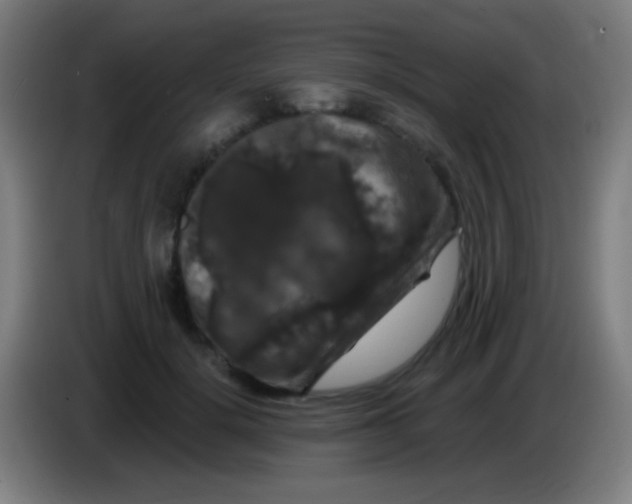 X0000085320652200703302045