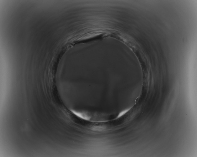 X0000085320653200703302045