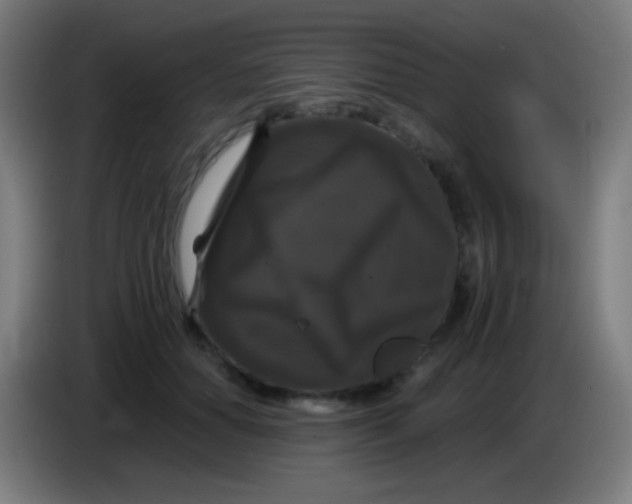 X0000085320654200703302045