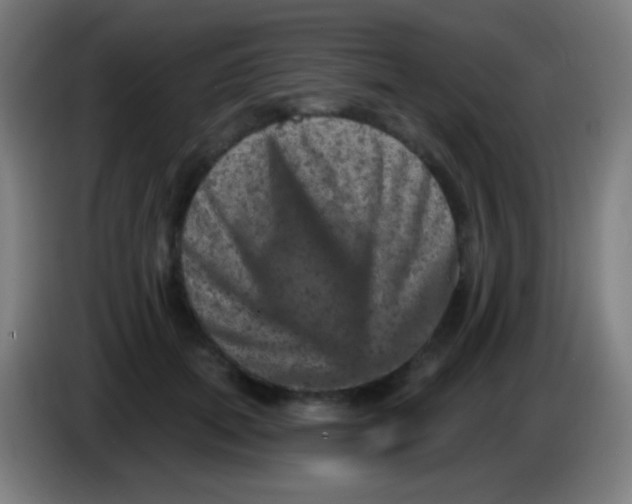 X0000085320655200703302045