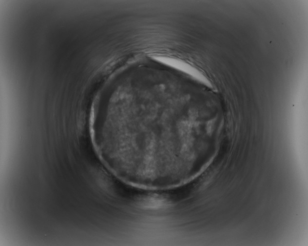 X0000085320656200703302045