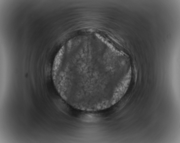 X0000085320657200703302045