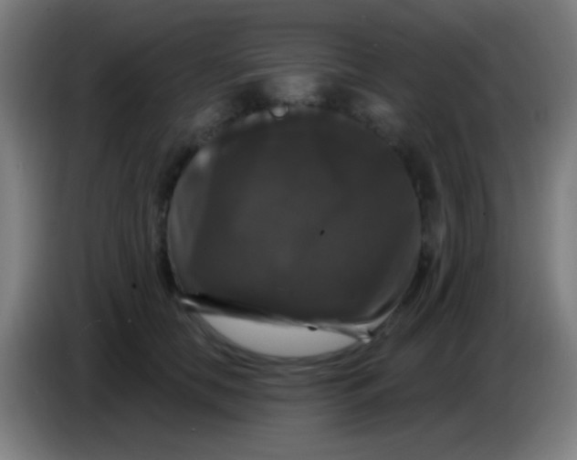 X0000085320658200703302045