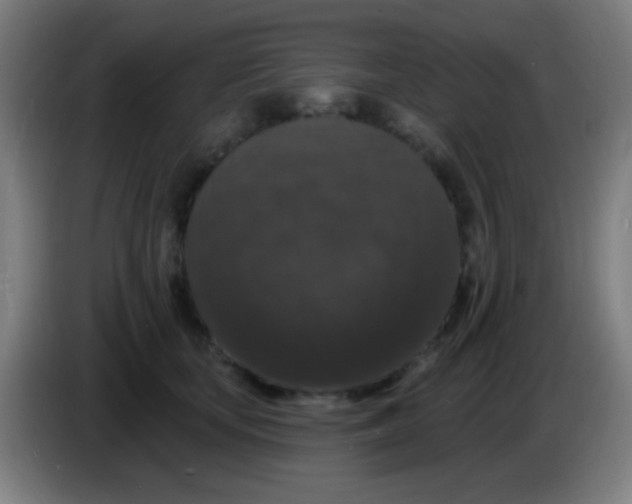 X0000085320659200703302045