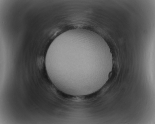 X0000085320660200703302045