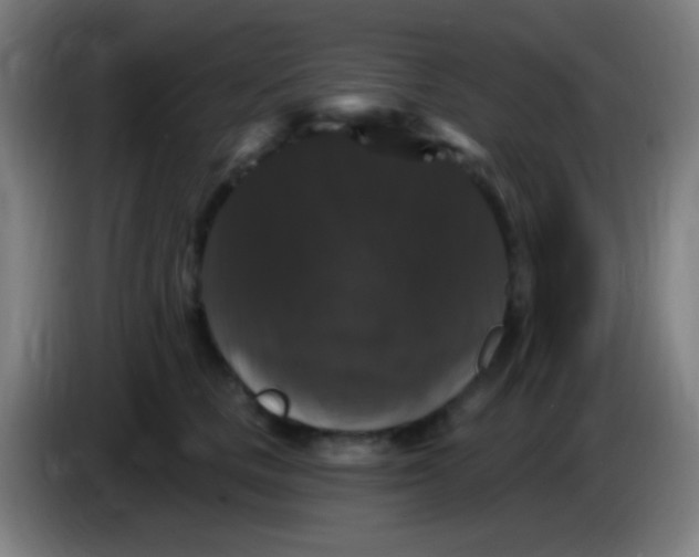 X0000085320661200703302046