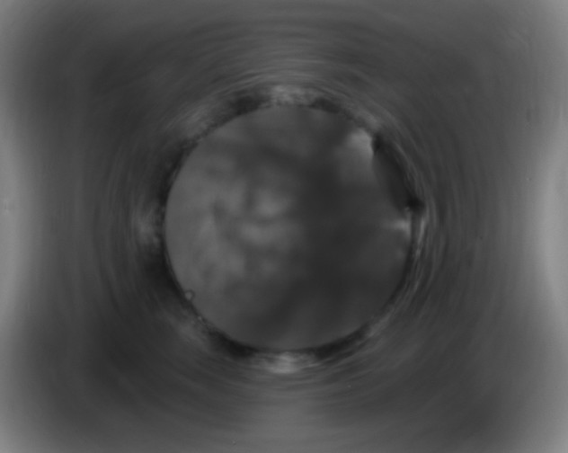 X0000085320663200703302046