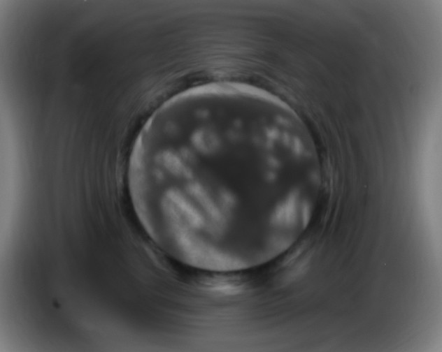 X0000085320664200703302046