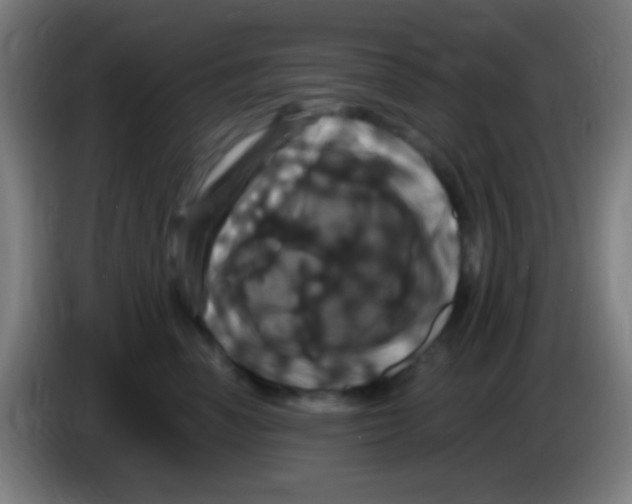 X0000085320666200703302046