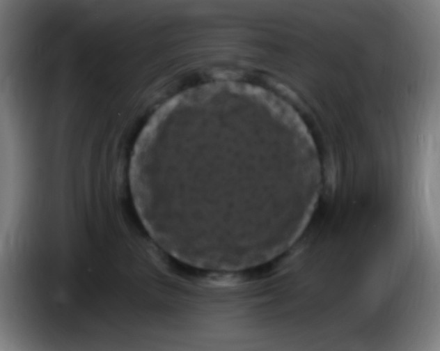 X0000085320667200703302046