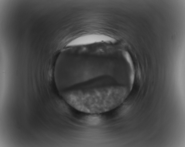 X0000085320668200703302046