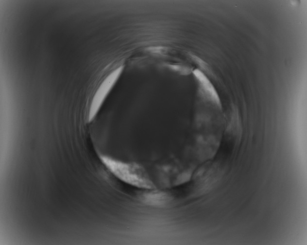 X0000085320669200703302046