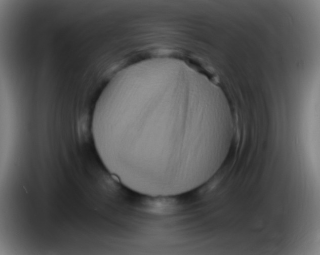 X0000085320670200703302046