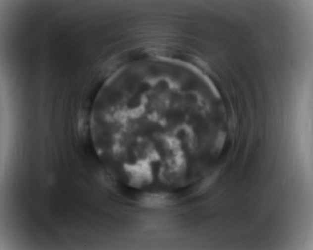 X0000085320671200703302046