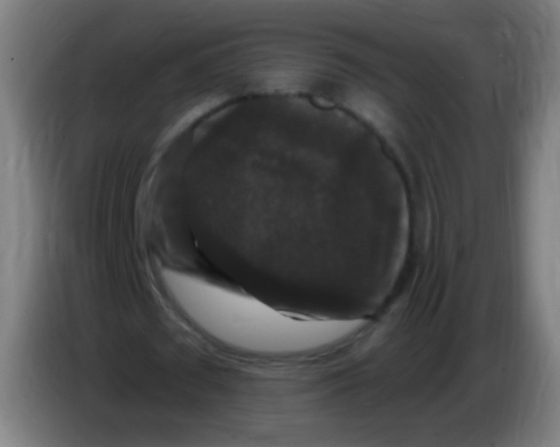 X0000085320673200703302045