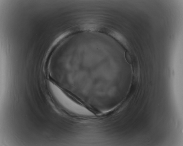 X0000085320674200703302045