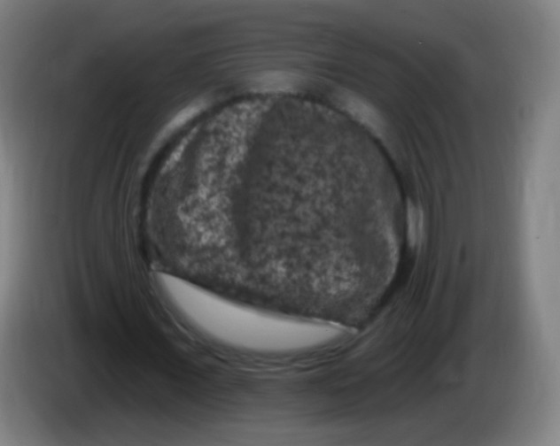 X0000085320675200703302045