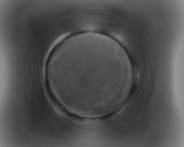 X0000085320678200703302045