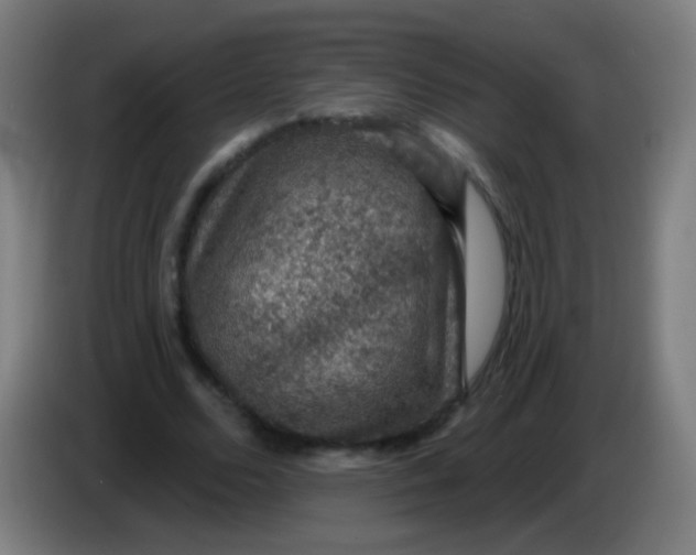 X0000085320680200703302045