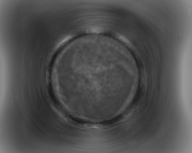 X0000085320683200703302045