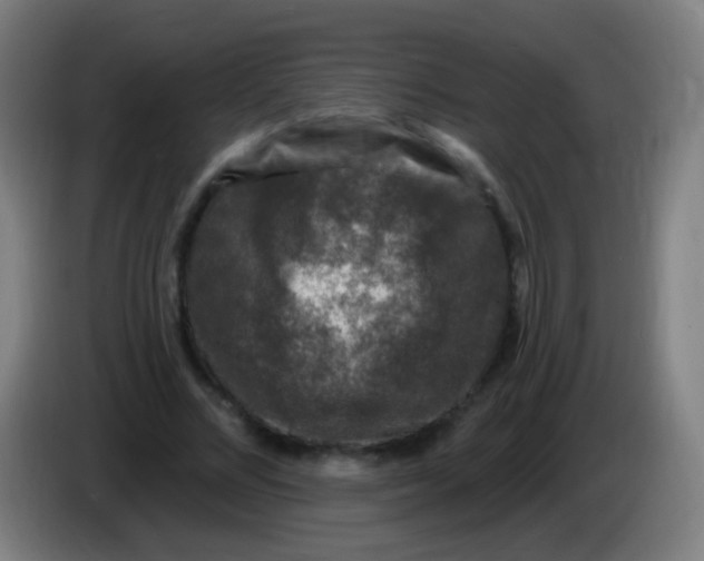 X0000085320684200703302045