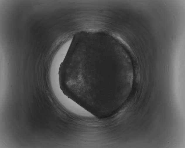 X0000085320685200703302045