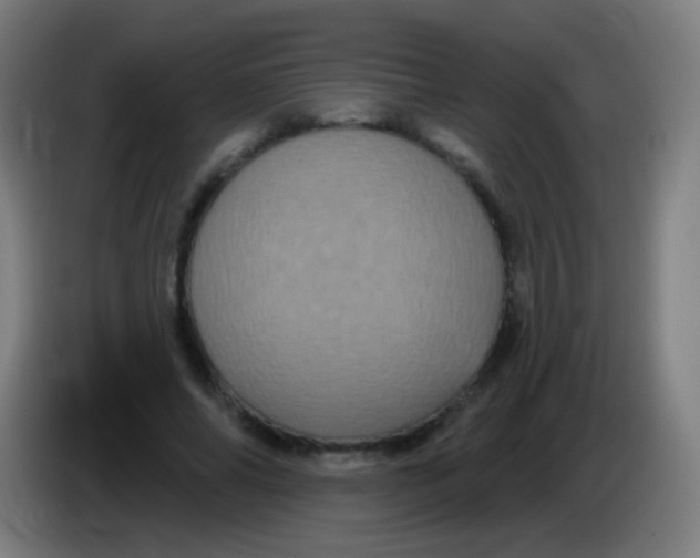 X0000085320686200703302045