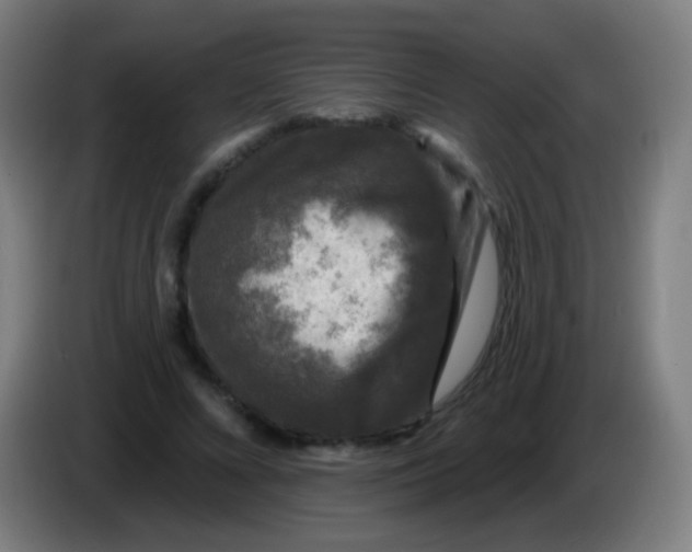 X0000085320688200703302045