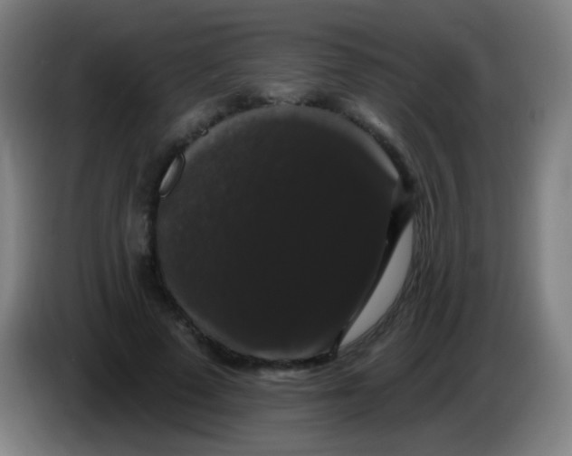 X0000085320689200703302045