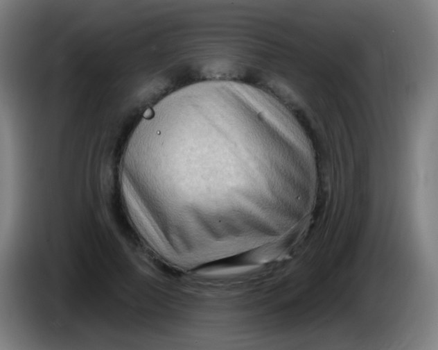 X0000085320690200703302045