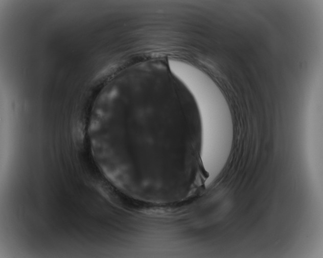 X0000085320691200703302045