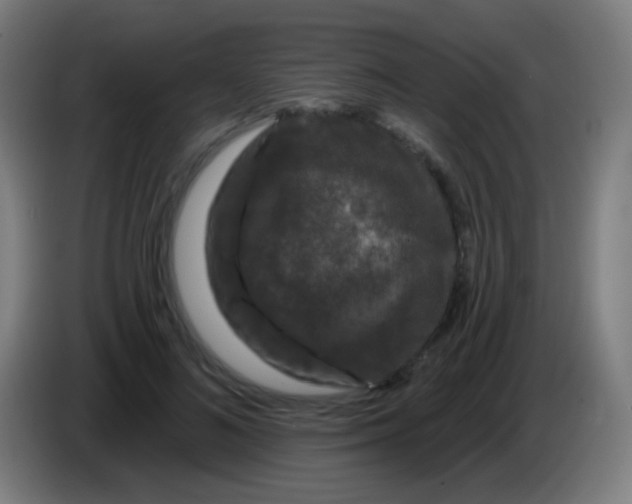 X0000085320692200703302045