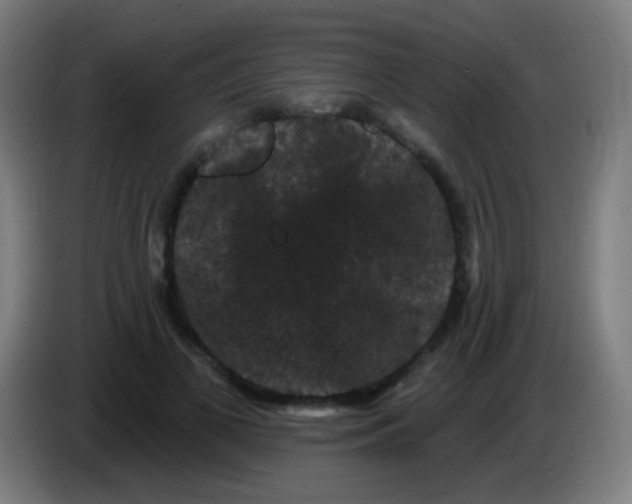 X0000085320693200703302045