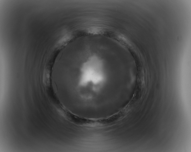 X0000085320696200703302045