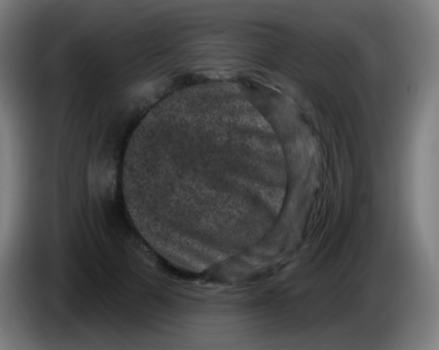 X0000085320697200703302045