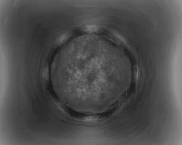 X0000085320700200703302045