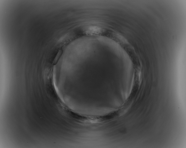 X0000085320701200703302045