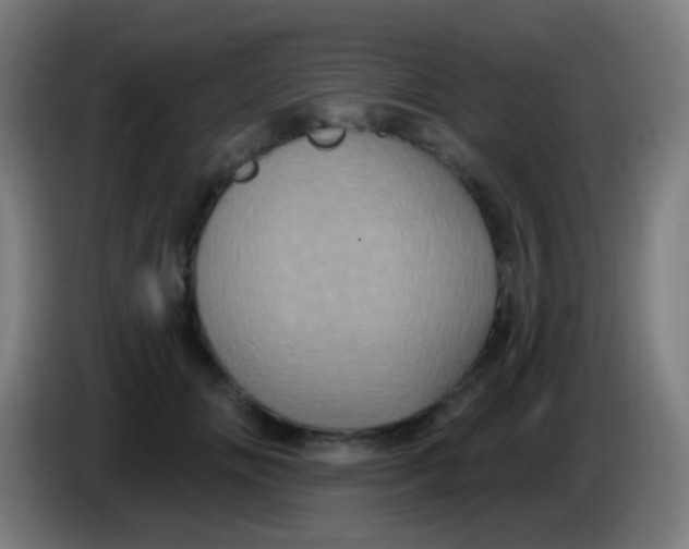 X0000085320702200703302045