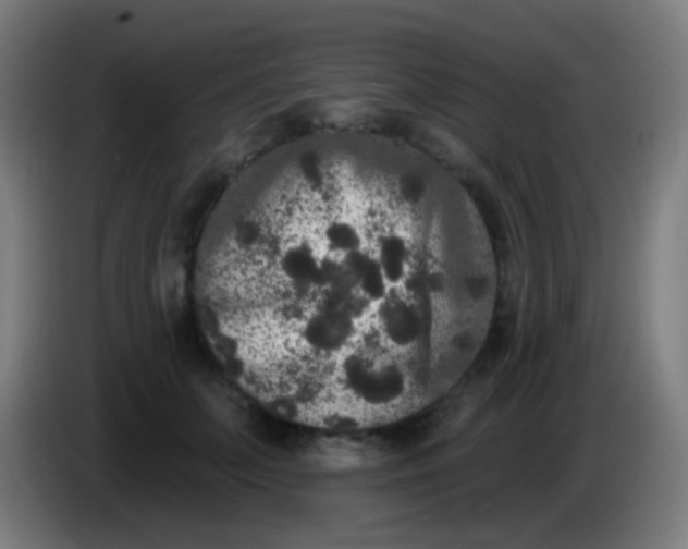 X0000085320703200703302045