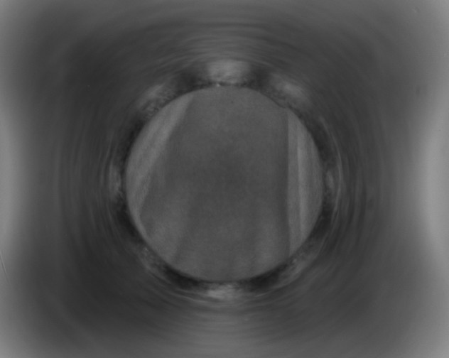 X0000085320705200703302045