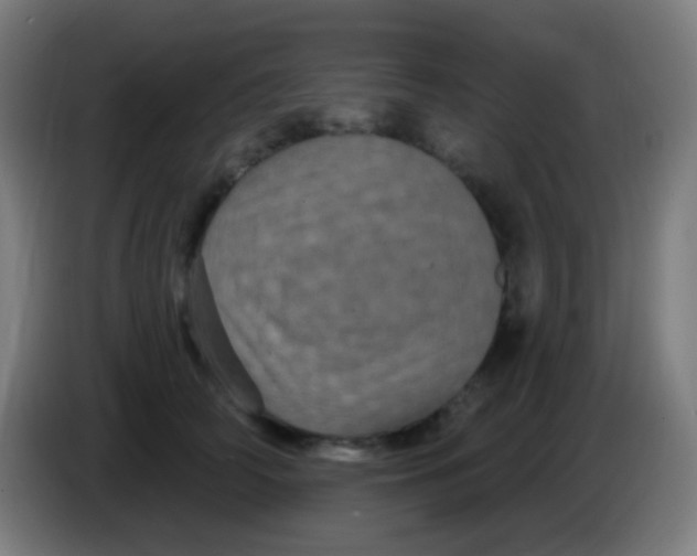 X0000085320706200703302045