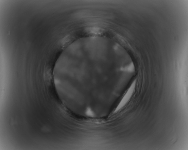 X0000085320707200703302045