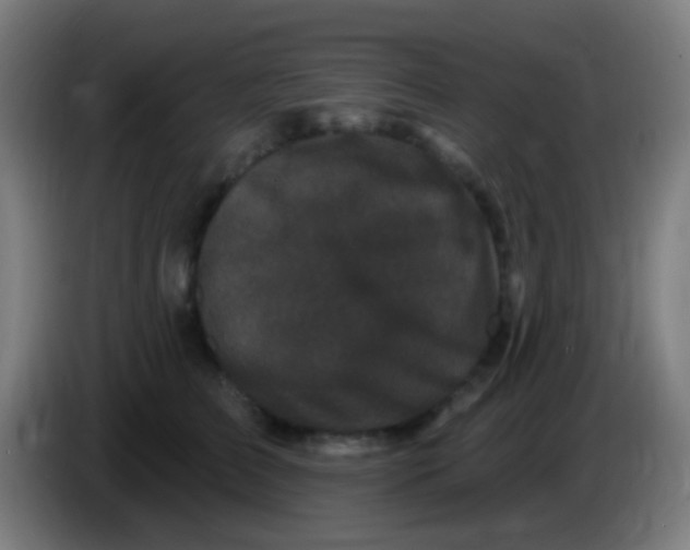 X0000085320709200703302044