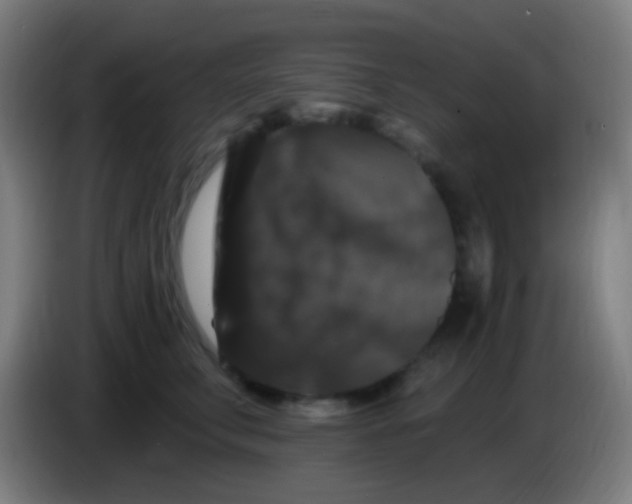 X0000085320711200703302044